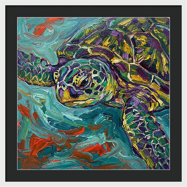Turtle Tranquility