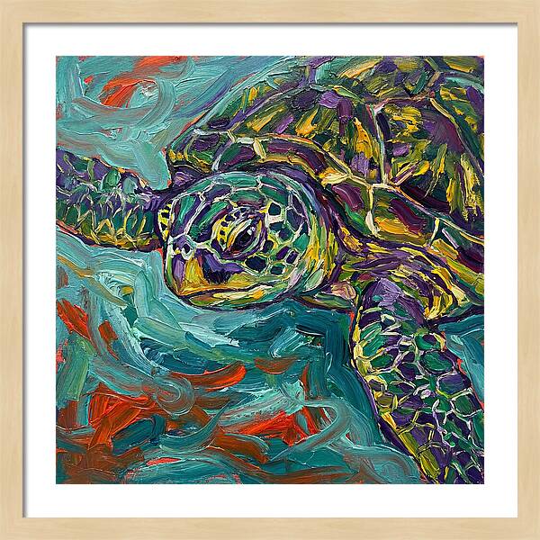 Turtle Tranquility