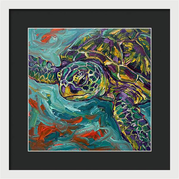 Turtle Tranquility