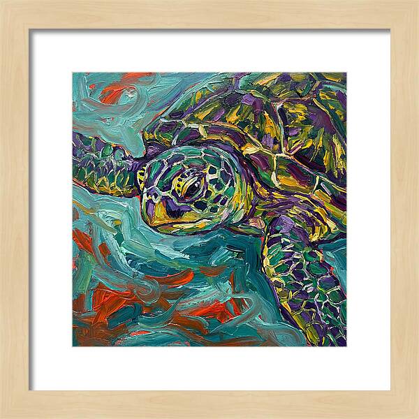 Turtle Tranquility
