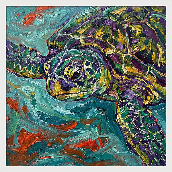 Turtle Tranquility