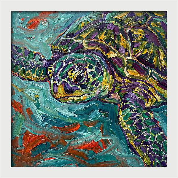 Turtle Tranquility