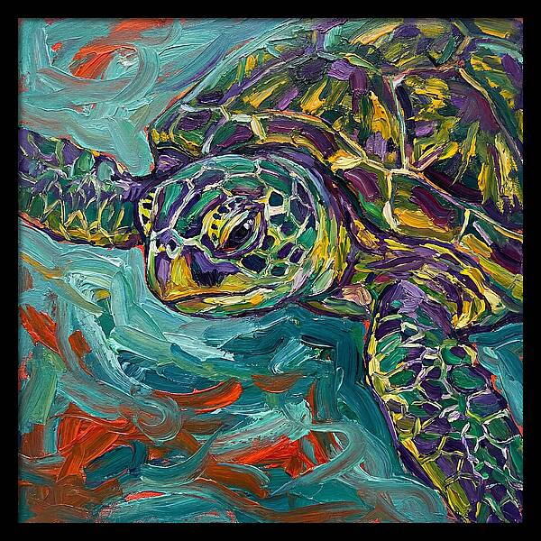 Turtle Tranquility