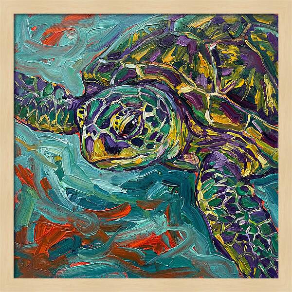 Turtle Tranquility