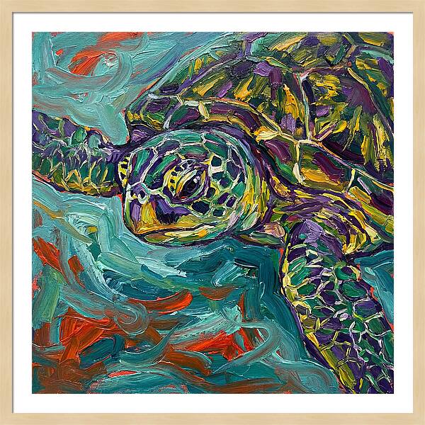 Turtle Tranquility