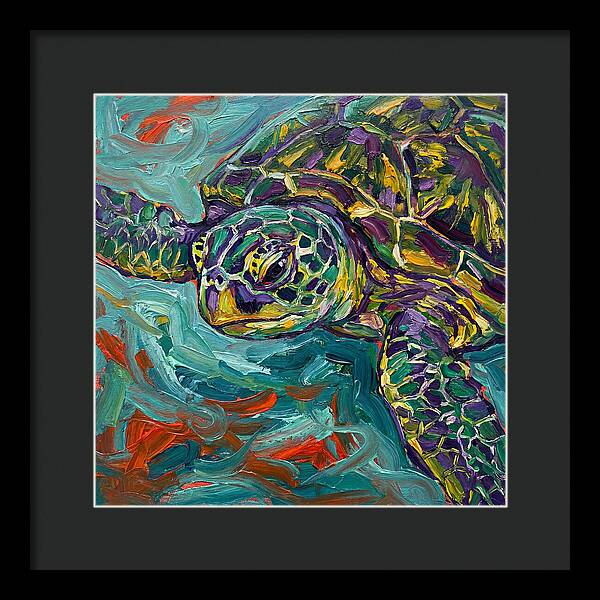Turtle Tranquility