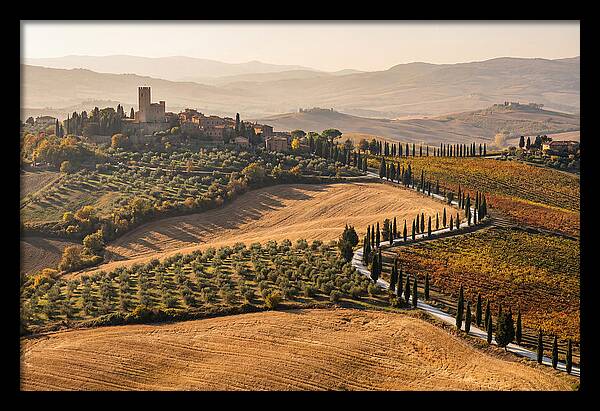 Tuscan Countryside In Autumn
