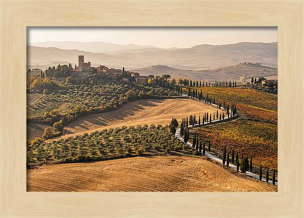 Tuscan Countryside In Autumn