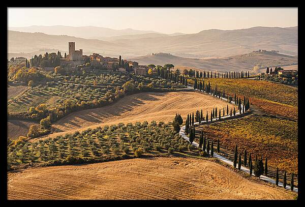 Tuscan Countryside In Autumn