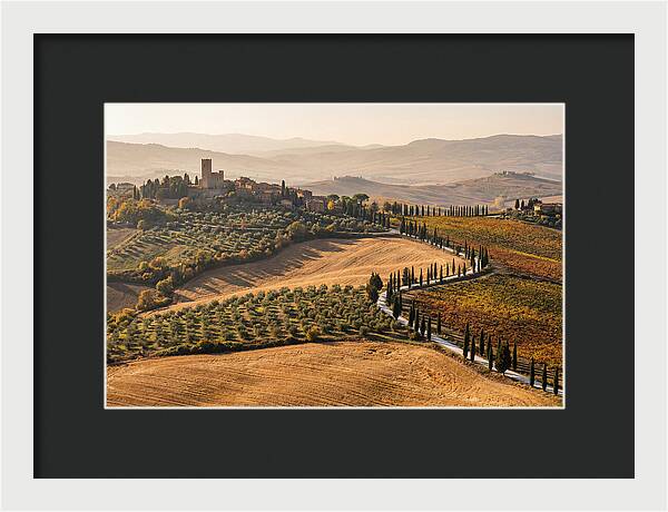 Tuscan Countryside In Autumn