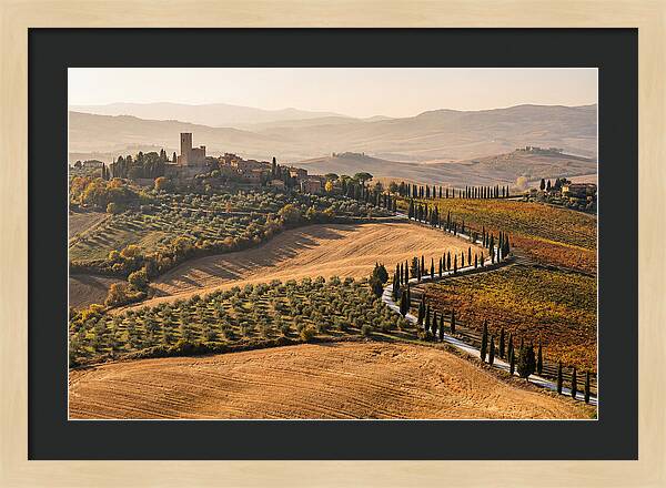 Tuscan Countryside In Autumn