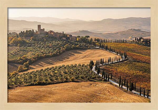 Tuscan Countryside In Autumn