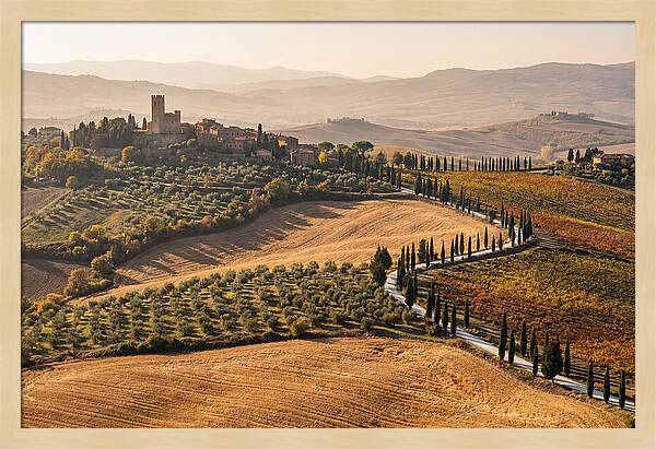 Tuscan Countryside In Autumn