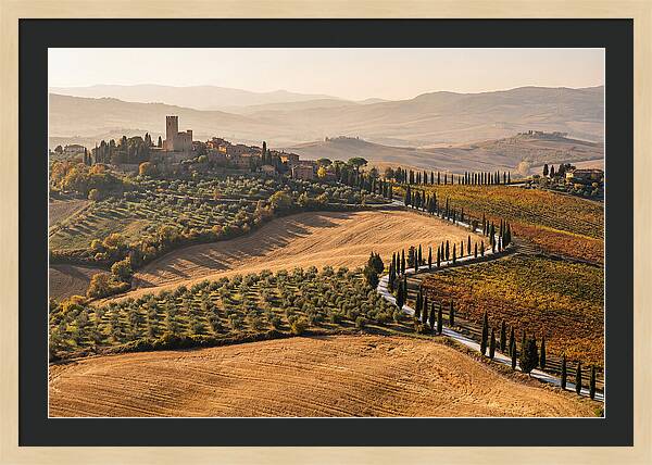 Tuscan Countryside In Autumn