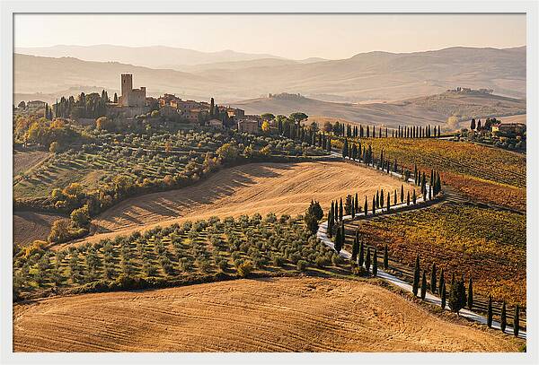 Tuscan Countryside In Autumn