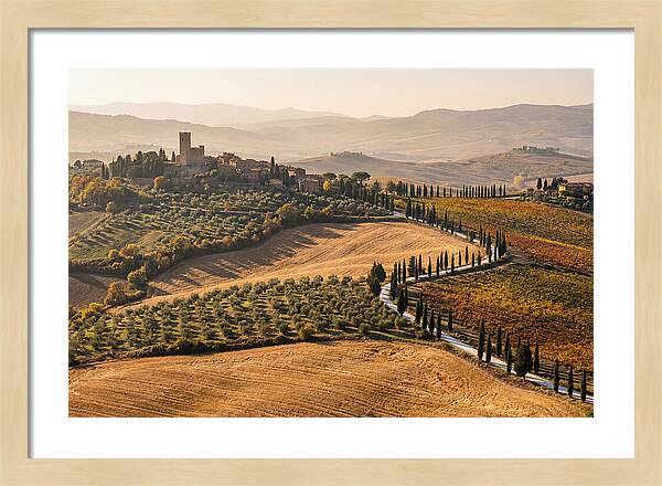 Tuscan Countryside In Autumn
