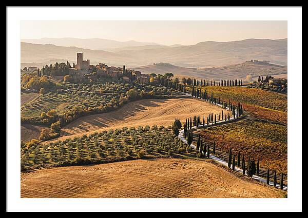 Tuscan Countryside In Autumn