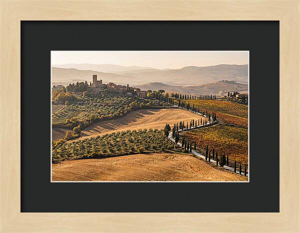 Tuscan Countryside In Autumn