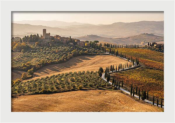 Tuscan Countryside In Autumn