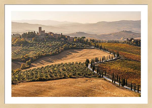 Tuscan Countryside In Autumn