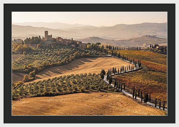 Tuscan Countryside In Autumn