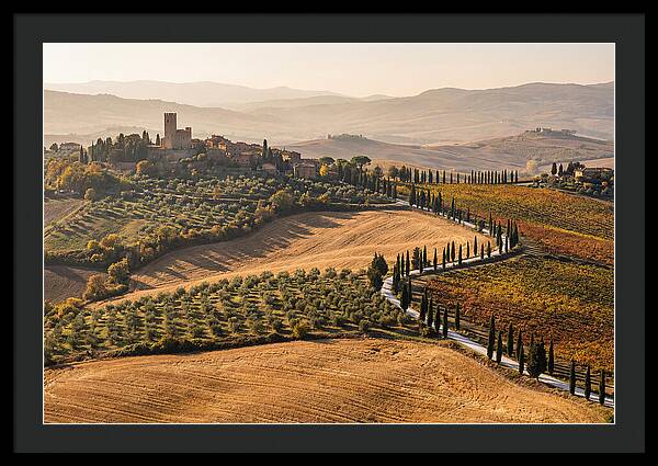 Tuscan Countryside In Autumn