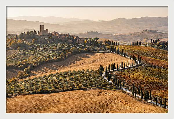 Tuscan Countryside In Autumn