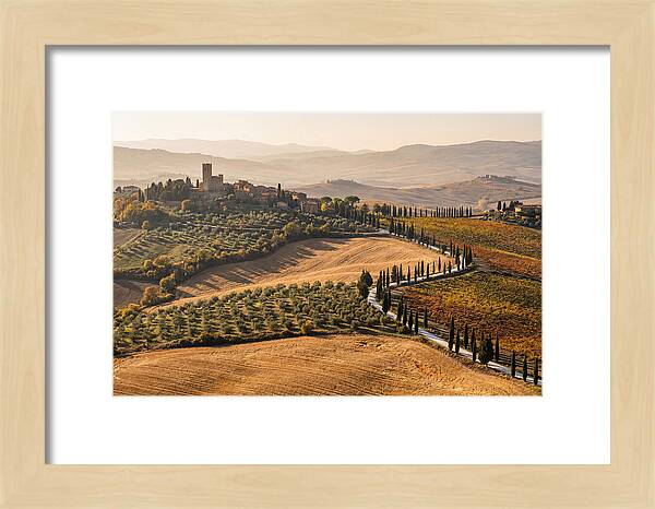 Tuscan Countryside In Autumn