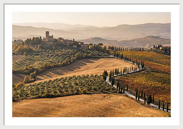 Tuscan Countryside In Autumn