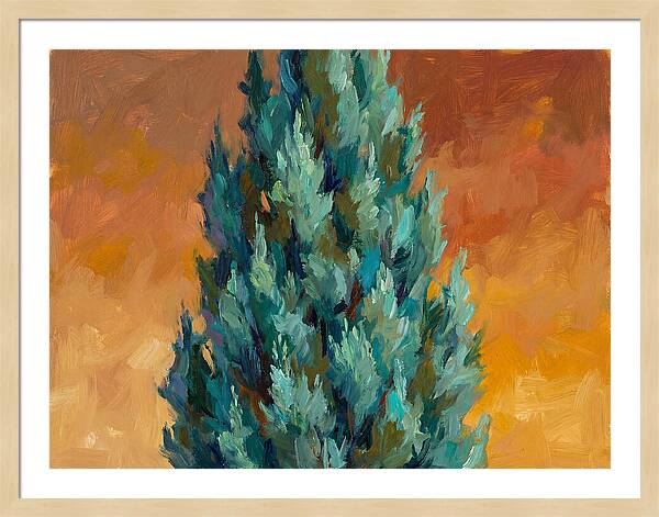 Tuscan Cypress Against Sunset