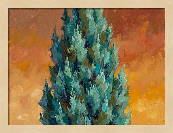 Tuscan Cypress Against Sunset