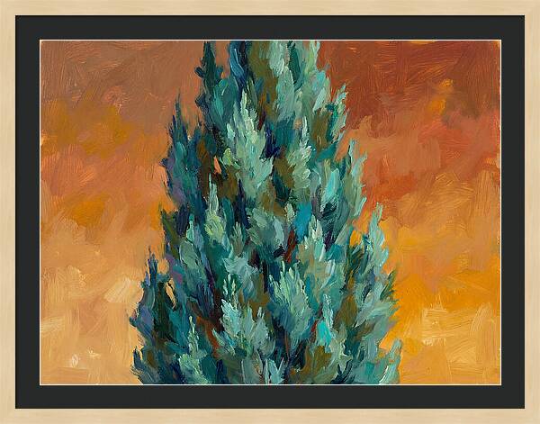 Tuscan Cypress Against Sunset