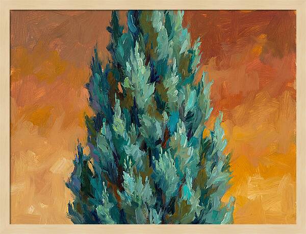 Tuscan Cypress Against Sunset