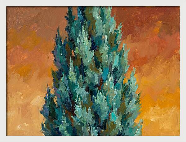 Tuscan Cypress Against Sunset