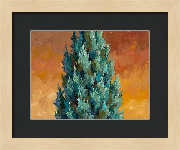 Tuscan Cypress Against Sunset