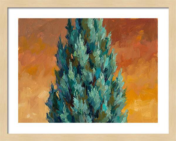 Tuscan Cypress Against Sunset