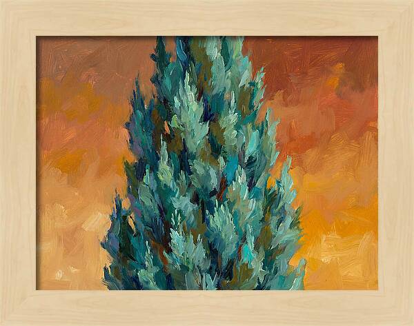 Tuscan Cypress Against Sunset