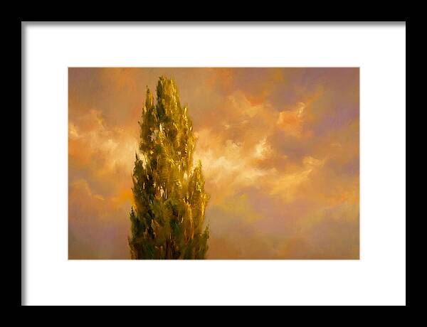Tuscan Cypress