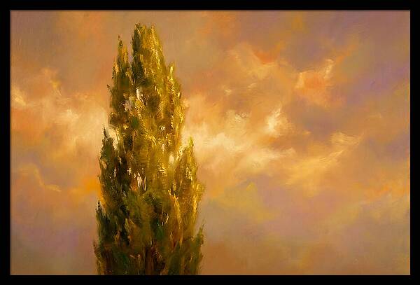 Tuscan Cypress