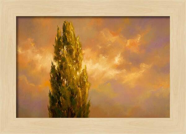 Tuscan Cypress