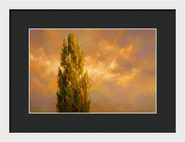 Tuscan Cypress