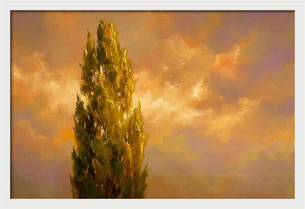 Tuscan Cypress