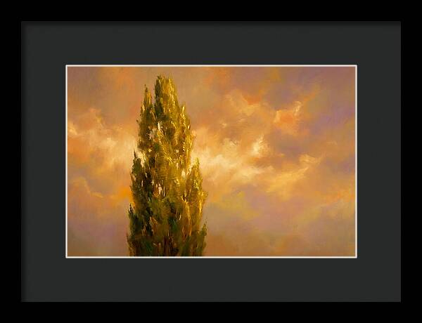 Tuscan Cypress