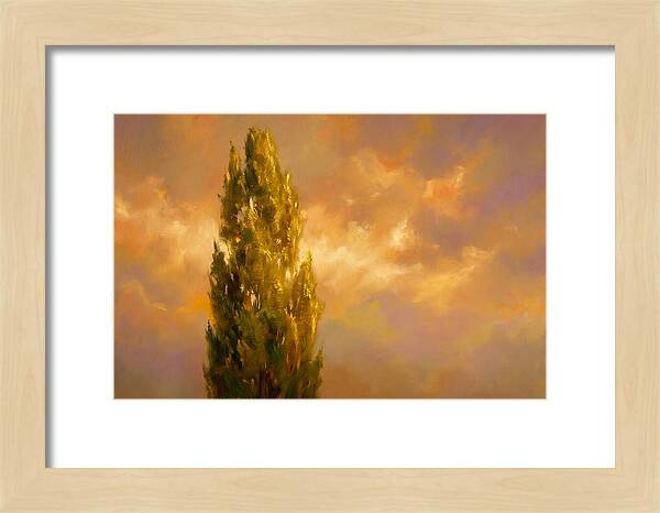 Tuscan Cypress