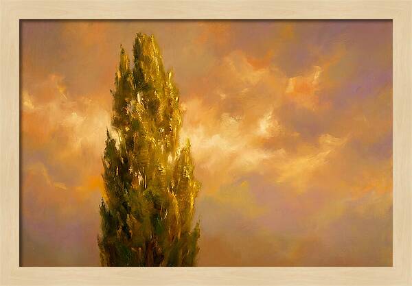 Tuscan Cypress