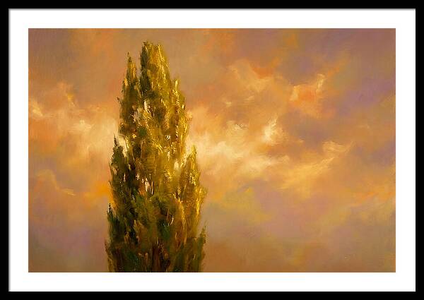 Tuscan Cypress