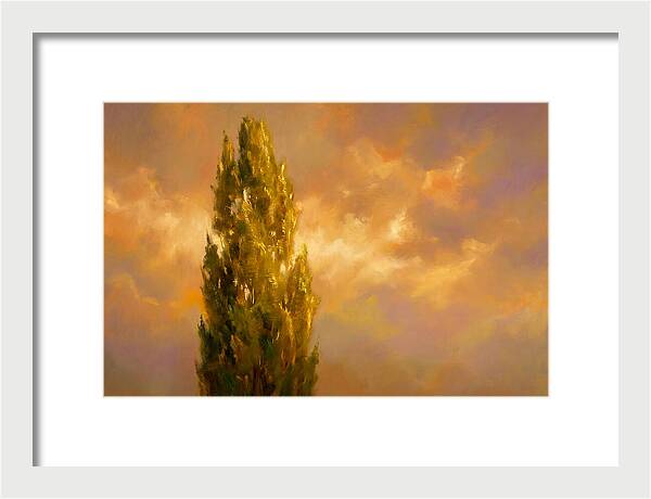 Tuscan Cypress