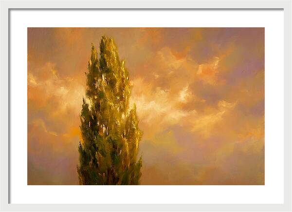 Tuscan Cypress