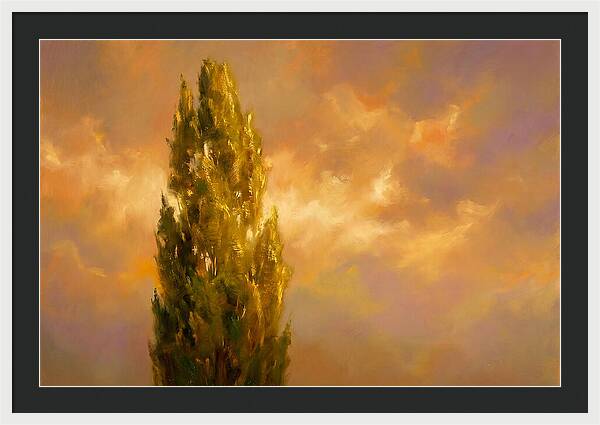 Tuscan Cypress