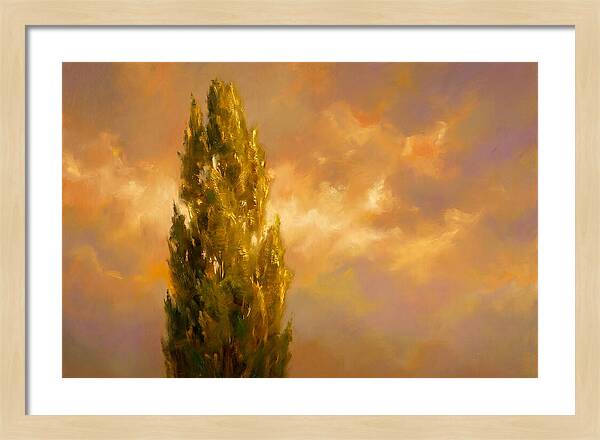 Tuscan Cypress